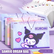 Accordion File Organizer, Expanding File Folder Portable Accordion Document Bag with Classified Inde