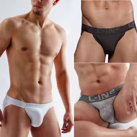Men's Bikini Briefs C-in2 Low Waist Underwear Cotton Gay Underwear Male Underpants Cuecas Masculinas