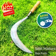( Tahan Karat ) Sabit Madura Bahan Baja Putih - Arit Pemotong Rumput Bilah Panjang - Pemotong Rumput