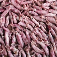 1kg cumi kering - cumi asin - cumi sotong kering
