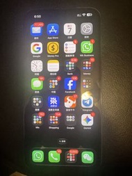 iPhone 13 Pro Max 256G