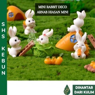 Mini Rabbit Toy Small Plastic Rabbit Garden Decoration Patung Arnab Kecil Hiasan Kebun 兔子 摆件 SHS Kebun