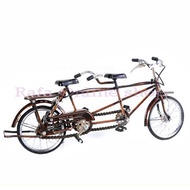 Miniature Tandem Bike Two