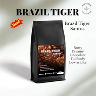 Brazil tiger santos เมล็ดกาแฟบราซิล arabica