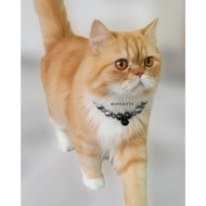 MOONRIX Black Silver Candy Pet Necklace Cats | Handmade Collar with Bell