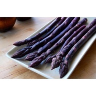 6 BIJI BENIH Purple Asparagus Seeds