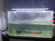 魚缸連水泵，燈，上過濾，溫度計。