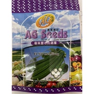 PETOLA F1 HYBRID SEED MEI NIANG 977