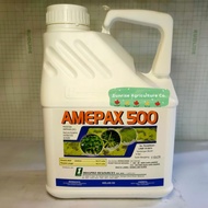 4L Amepax 500 /Racun Rumput Degil / Racun Susu/ Imaspro / Rumput Sembau/ Ametryn 45% / Rumput Kerbau