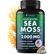 Sea Moss Capsules - Irish Sea Moss Advanced with Burdock Root, Bladderwrack & Muira Puama for Immuni