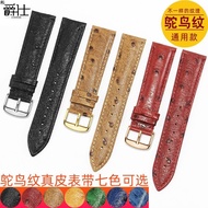 Ostrich Pattern Genuine Leather Watch Strap Men's And Women's Pin Buckle Substitute Casio Mido Tissot Panerai Citizen DW King