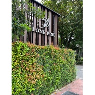 Lone Pine Hotel elite benefit booking service