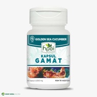 HERBA KAPSUL GAMAT TERIPANG EMAS HNI