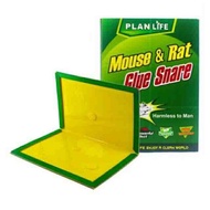 Rat & Mouse Sticky Mice Rodent Glue Board Bait Trap
