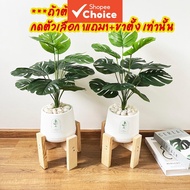 Artificial Potted Plant 40-50cm, Fake Tree with Pot Free Decorative Stones for Home Decor Low Mainte