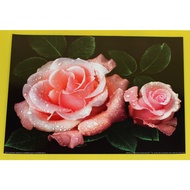 Rose Picture 2 Pink Roses Beautiful Home Decoration Enhances Luck Size 16 x 20 Inches