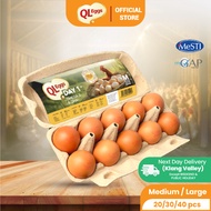 QL Day 1 Egg - M/L (20pcs/30pcs/40pcs) Fresh Egg Farm Fresh Egg Telur Segar 鸡蛋