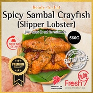 [Fresh9] Halal Ready-to-Eat Spicy Sambal Grilled Crayfish(Slipper Lobster) | Heat & Eat | 加热即食烧烤香辣虾婆