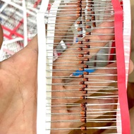 Zener Diode Specialized Components 6.2V 1/2W BZX55C, pack=25c