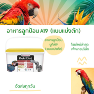 NutriBird A19 โฉมใหม่ ขนาด500กรัมและ1กกอาหารนกลูกป้อน อาหารลูกป้อน สำหรับลูกนกที่ต้องการพลังงานไขมัน