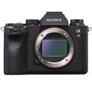 SONY A9 II ILCE-9M2 單機身 贈電池+64G高速卡