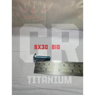 Titanium Bolt Size 8x30 Big Thread 8 Length 3cm