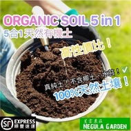 園藝 有機泥土 泥炭營養土 泥炭土 完熟腐葉土 培養土 營養土 盆栽 小盆栽 空氣淨化 化學泥 泥土 有機泥土 雞糞土 蚯蚓土 靚土 泥土 花泥 菜泥 植物 plant pot 星雲農莊