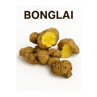 100g BONGLAI KUNYIT INDIA rizom Ubi bonglai segar sedap