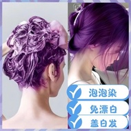 Bubble Ash Purple Hair Dye Colour Shampoo Care Permanent 植物泡泡染发剂流行色盖白发不用漂 Warna Rambut Halal Sah Sol