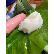 TAPAI PULUT DAUN GETAH KELANTAN MANIS SEDAP DOOH