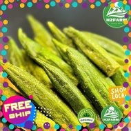 Sublimation Dried Okra - H2farm - Snack Food - Snack Food - Crispy - delicious Food - H2farm Dalat s