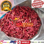 STOK TERBATAS Cabe Kering Teja | Cabe Rawit Kering Teja Kualitas SUPER