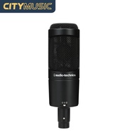 Audio Technica AT2050 Multi-pattern Condenser Microphone