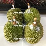 Diskon Durian Musang King Utuh/Durian Sultan Malaysia Asli Ready