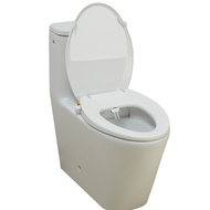 Quick Release Household Bidet for Washing Buttocks, Toilet Seat Cover with Heating, Smart Toilet Sea