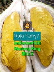 Fresh Musang King / Musang King durian segar