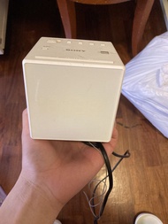Sony 時鐘收音機 ICF-C1