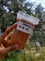 Pupuk Majemuk Osmocote 14-14-14 300gr