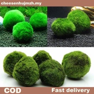 CH 3-4cm Marimo Moss Balls Live Aquarium Plant Algae Fish Shrimp Tank Ornament Simulation Green Alga