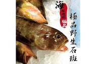 野生石斑魚 250g±10%