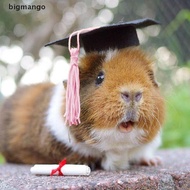 bigmango 1Pc Graduation Hat Mini Doctoral Cap Cake Decor Dollhouse Mini Cap Doctoral Cap BMO