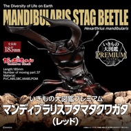 Reference Number Warehouse March-April Bandai Box Toy Biological Illustrated Book PREMIUM Giant-Jaw 