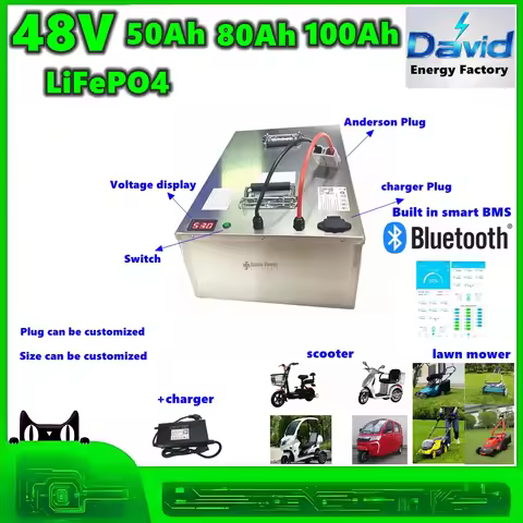 48V 80Ah 100Ah LiFePO4 lithium battery pack for Ryobi lawn mower scooter tricycle portable power mul