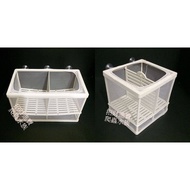 Guppy Breeding Isolation Net Betta Two Types Box Double-Layer Suction Cup Tank Spawning Ball Fish La