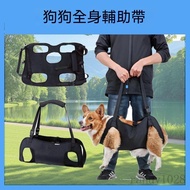 Dog Leash Portable Auxiliary Strap Portable Elderly Dog Handicapped Dog Rehabilitation Exercise Stra