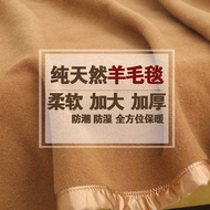 High-End Double Wool Blanket 100 Pure Wool Winter Thickened Blanket Bedding Warm Blanket Nap Sofa Bl