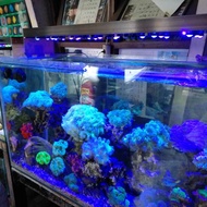 Sea aquarium lights 90cm