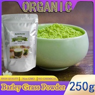 Organic Barley Grass Powder original 250g barley grass official store pure organic barley body Organic Barley Low Carb Diabetic Friendly e for weight loss