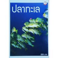 หนังสือ ปลาทะเล ปก220 ปลาผีเสื้อ ปลานกขุนทอง ปลานกแก้ว ปลาสินสมุทร ปลาสลิดหิน ปลาการ์ตูน ม้าน้ำ อันต