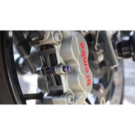 Drake Titanium Pin Caliper Brembo 4 piston & 2 piston